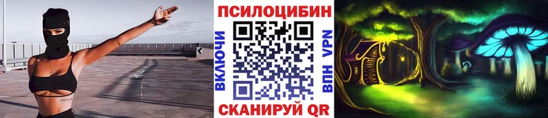 гидра ссылки  Сердобск  Псилоцибиновые грибы Psilocybe 