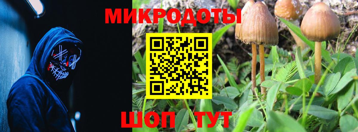 Сердобск  Псилоцибиновые грибы мицелий  Псилоцибиновые грибы мухоморы  Вход с VPN 